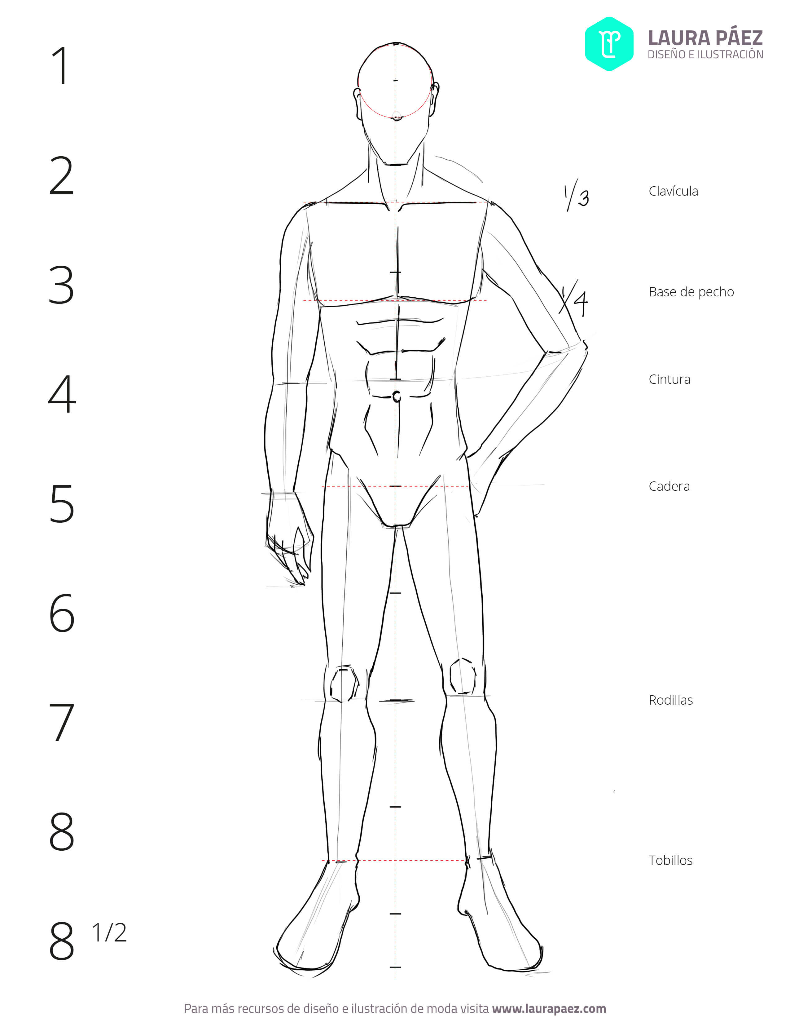 Cómo dibujar un figurín masculino