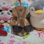 Profile picture of Leidy Paola Pacheco